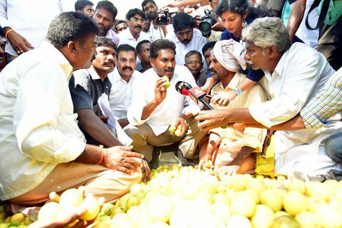 YS Jagan Praja Sankalpa Yatra Day-76 Photos
