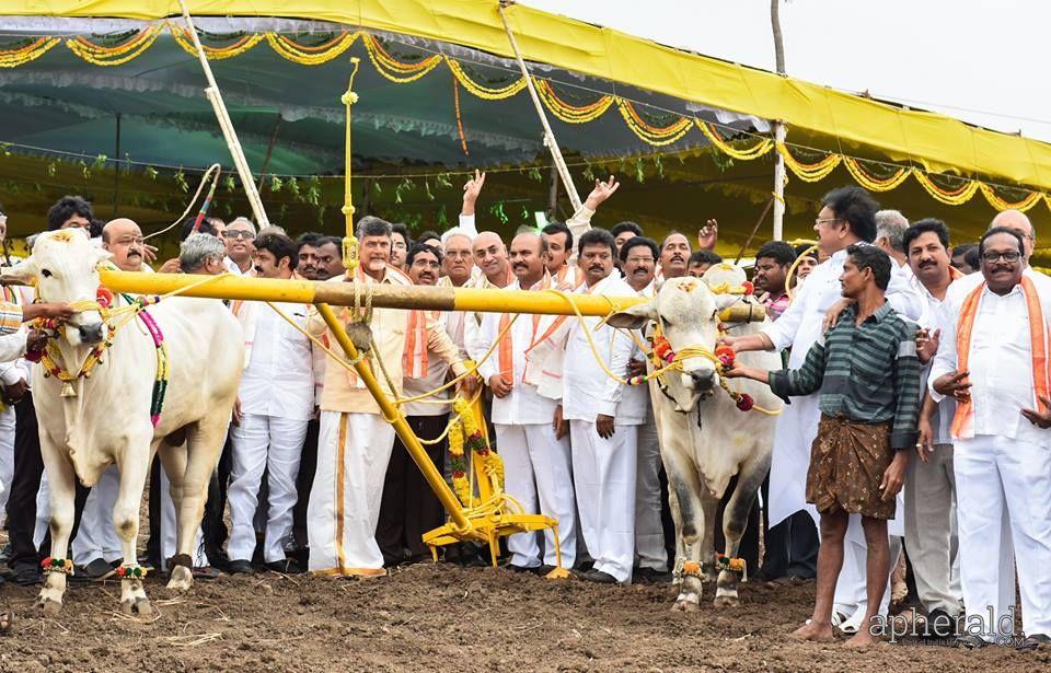 Amaravati Bhoomi Pooja Photos