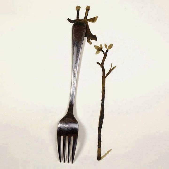 Amazing creativity with daily things photos 