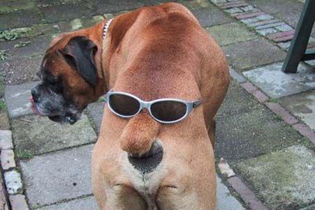 Amazing Funny Images of the World