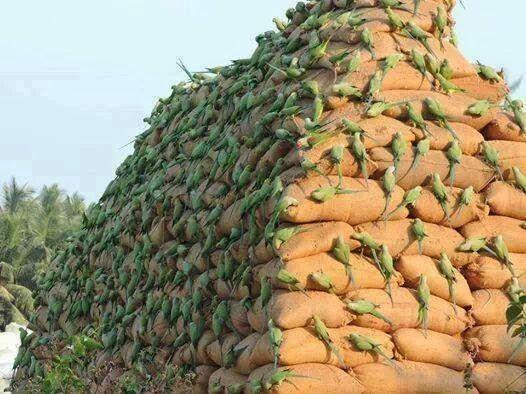 Amazing Funny Images of the World