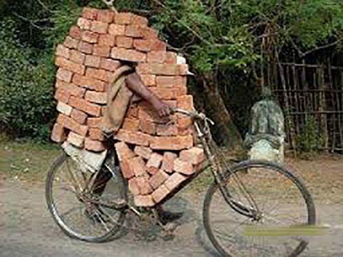 Amazing Funny Images of the World