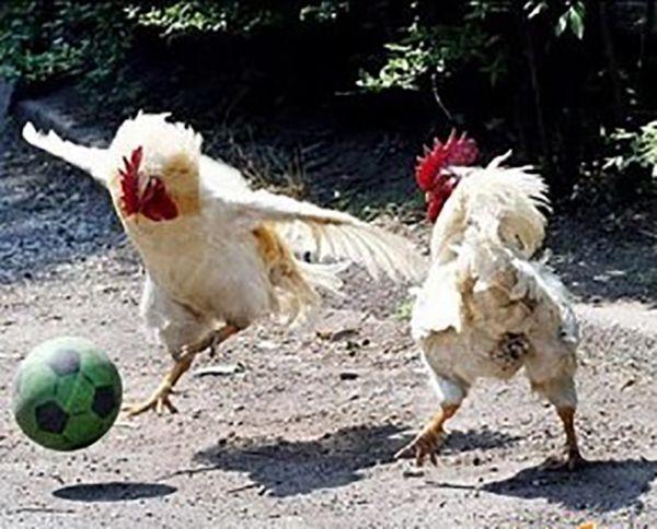 Amazing Funny Images of the World