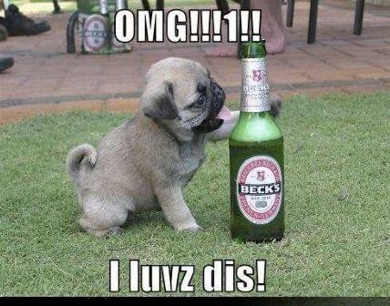 Amazing Funny Images of the World