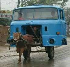 Amazing Funny Images of the World