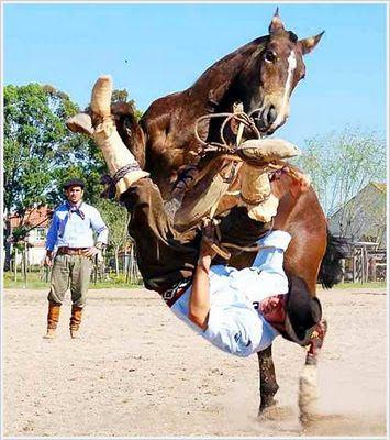 Amazing Funny Images of the World