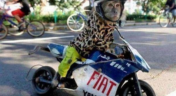 Amazing Funny Images of the World