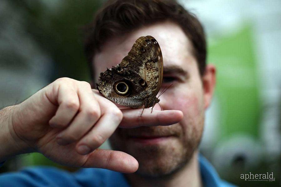 Animals Hd Wallpapers