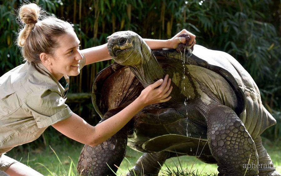 Animals Hd Wallpapers