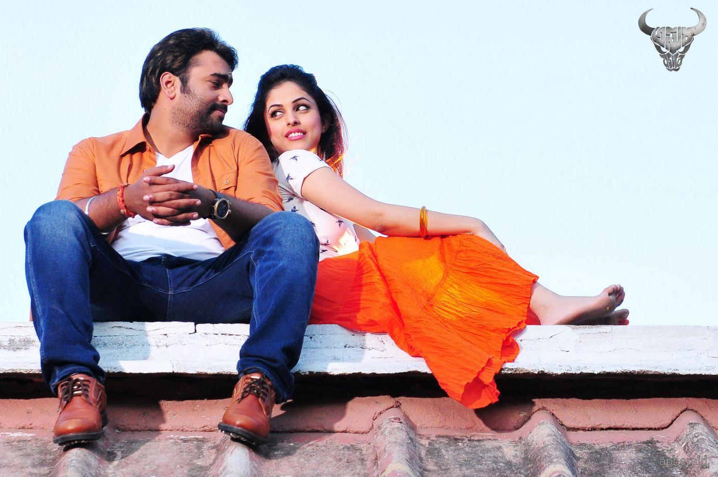 a sample image