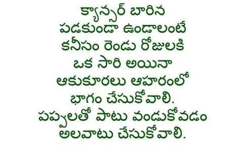 Best Ayurveda Tips for Good Health Ever