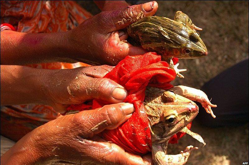 Bizarre Rituals and Festivals of India