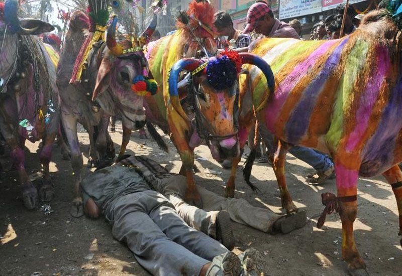 Bizarre Rituals and Festivals of India