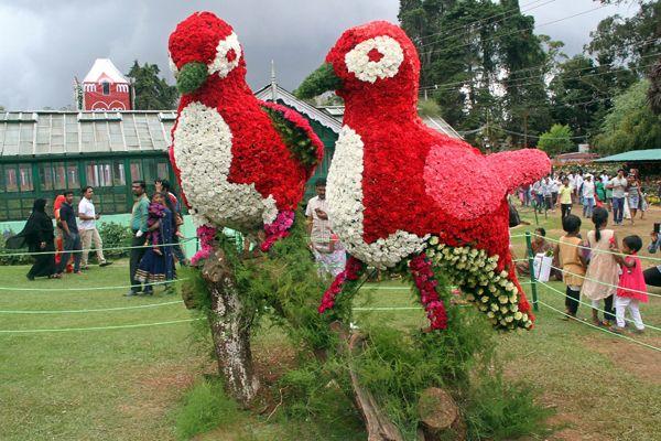 botanical garden flower show 2016 photos