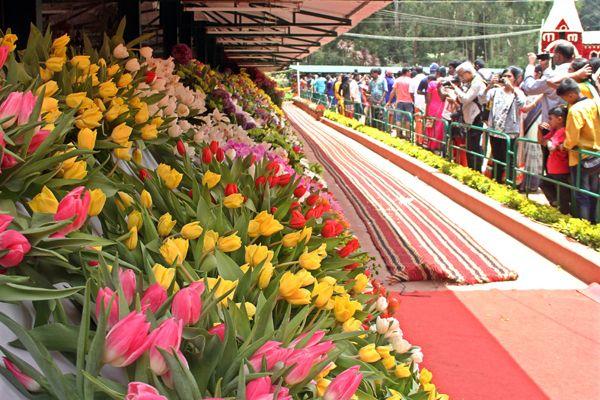 botanical garden flower show 2016 photos