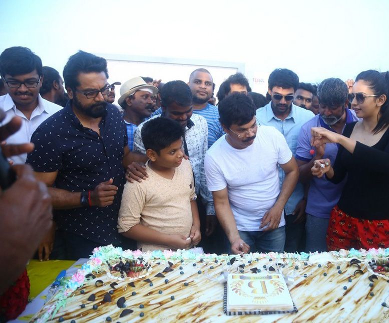 Boyapati Birthday Celebrations Pictures