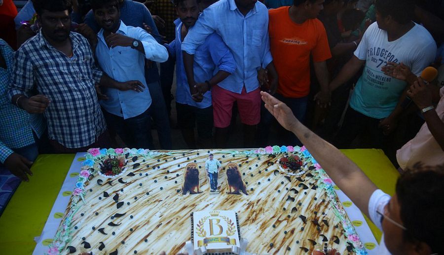 Boyapati Birthday Celebrations Pictures