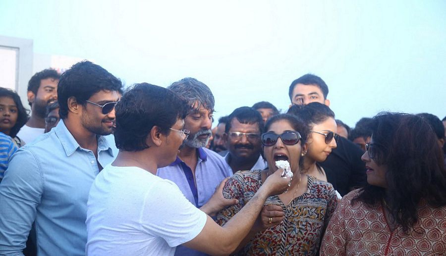 Boyapati Birthday Celebrations Pictures
