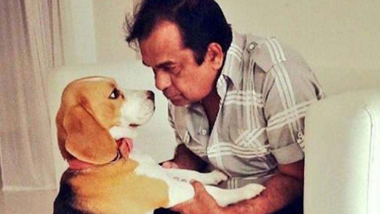Celebrities with their pets Photos