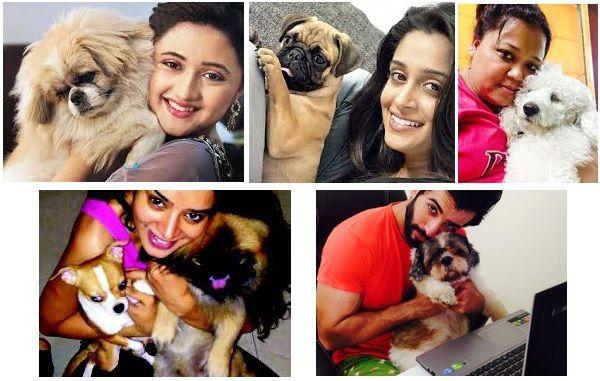 Celebrities with their pets Photos