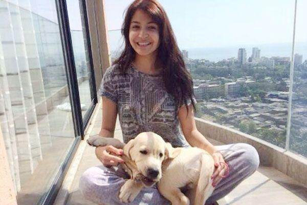 Celebrities with their pets Photos