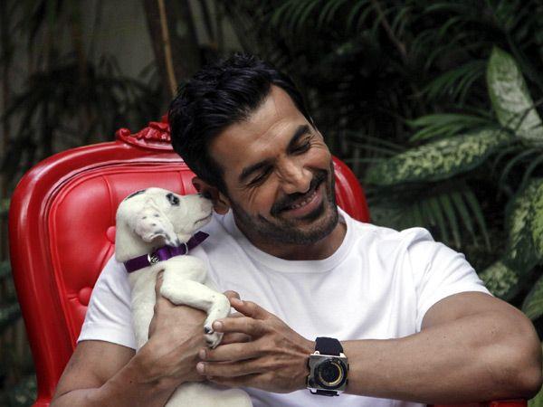 Celebrities with their pets Photos