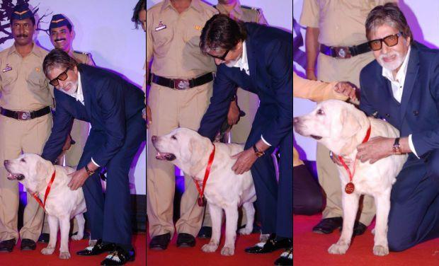 Celebrities with their pets Photos