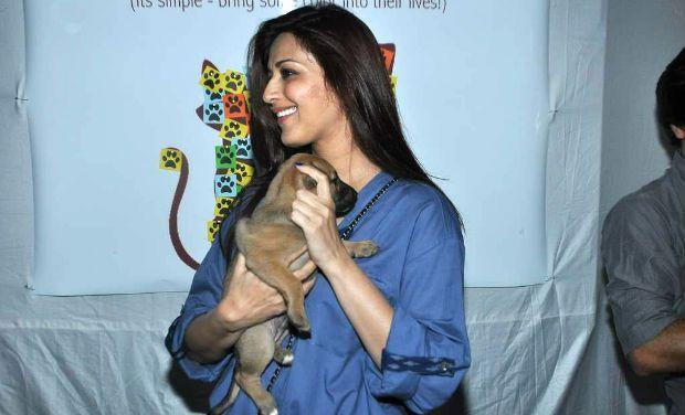 Celebrities with their pets Photos