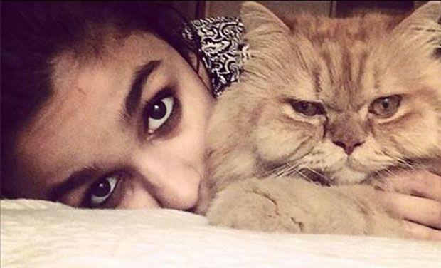 Celebrities with their pets Photos