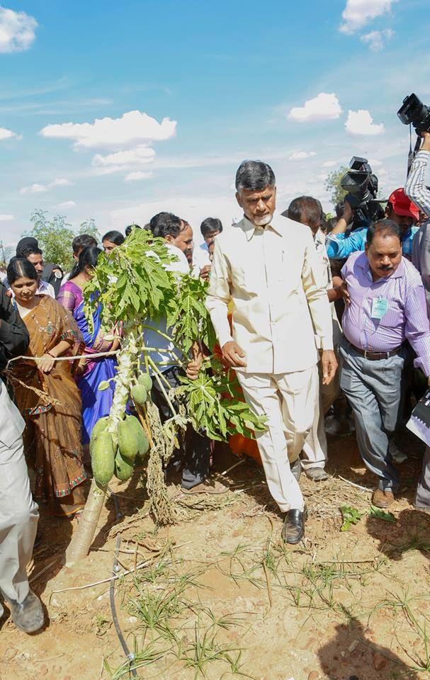 Chandrababu Naidu celebrated his 66th birthday at Anantapur