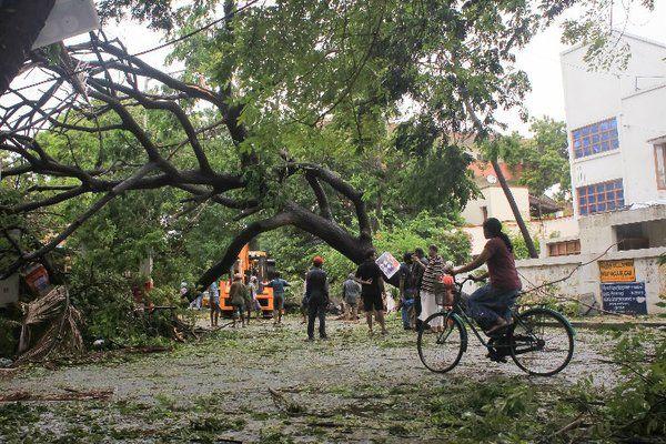 Chennai Rain Effect Photos 2015