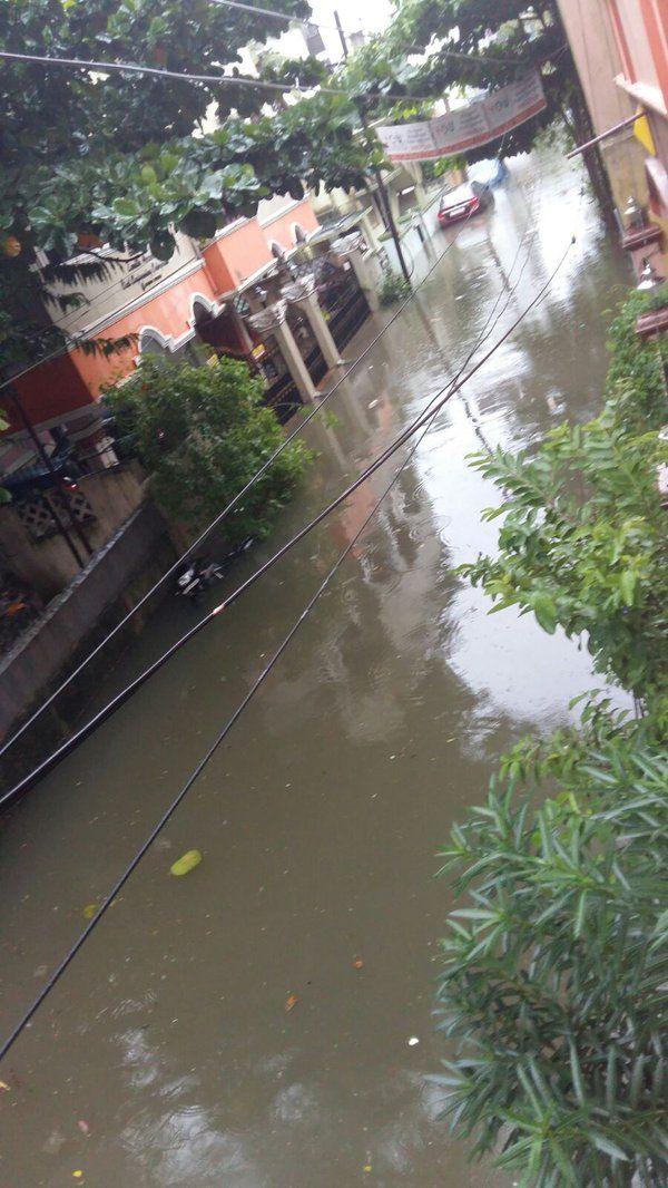 Chennai Rain Effect Photos 2015