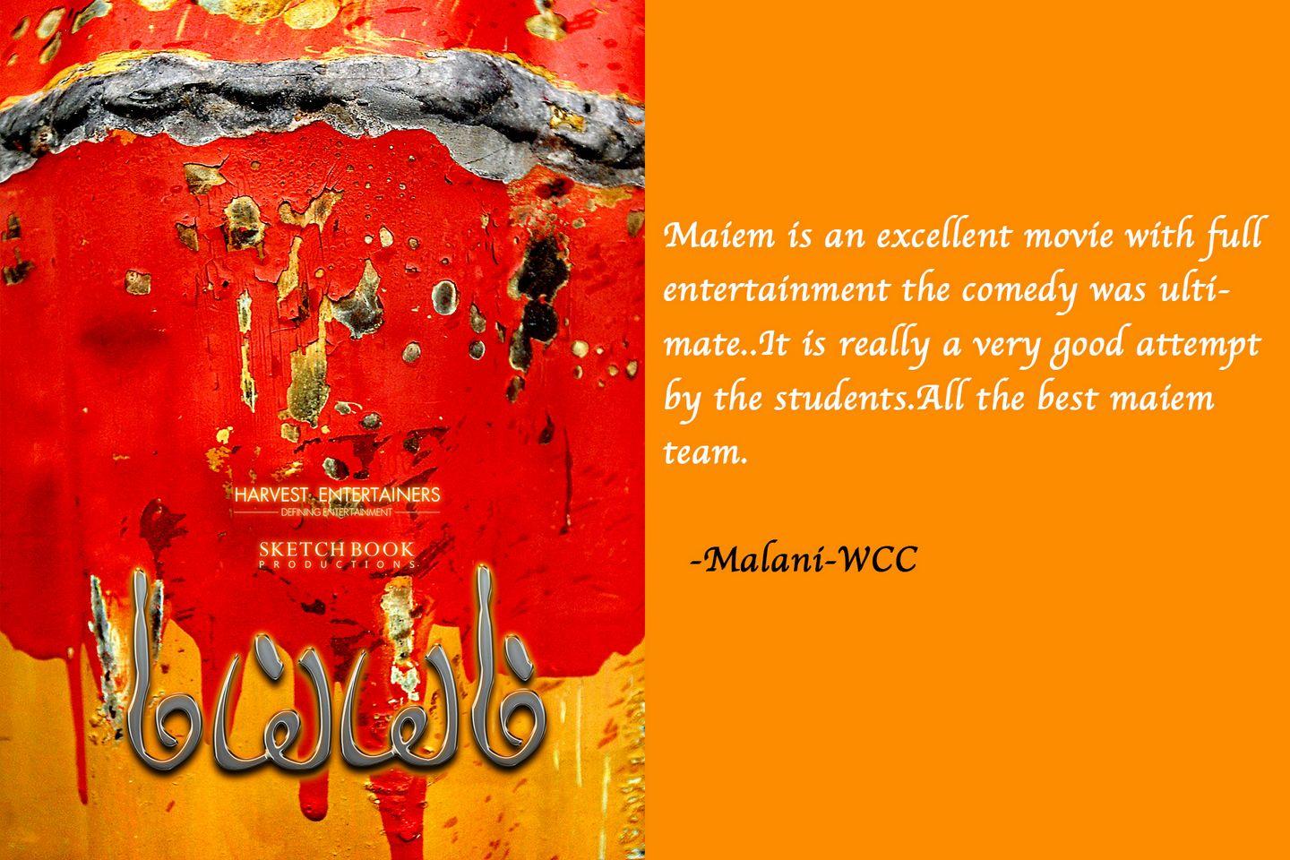 Comments From Students about the Maiem