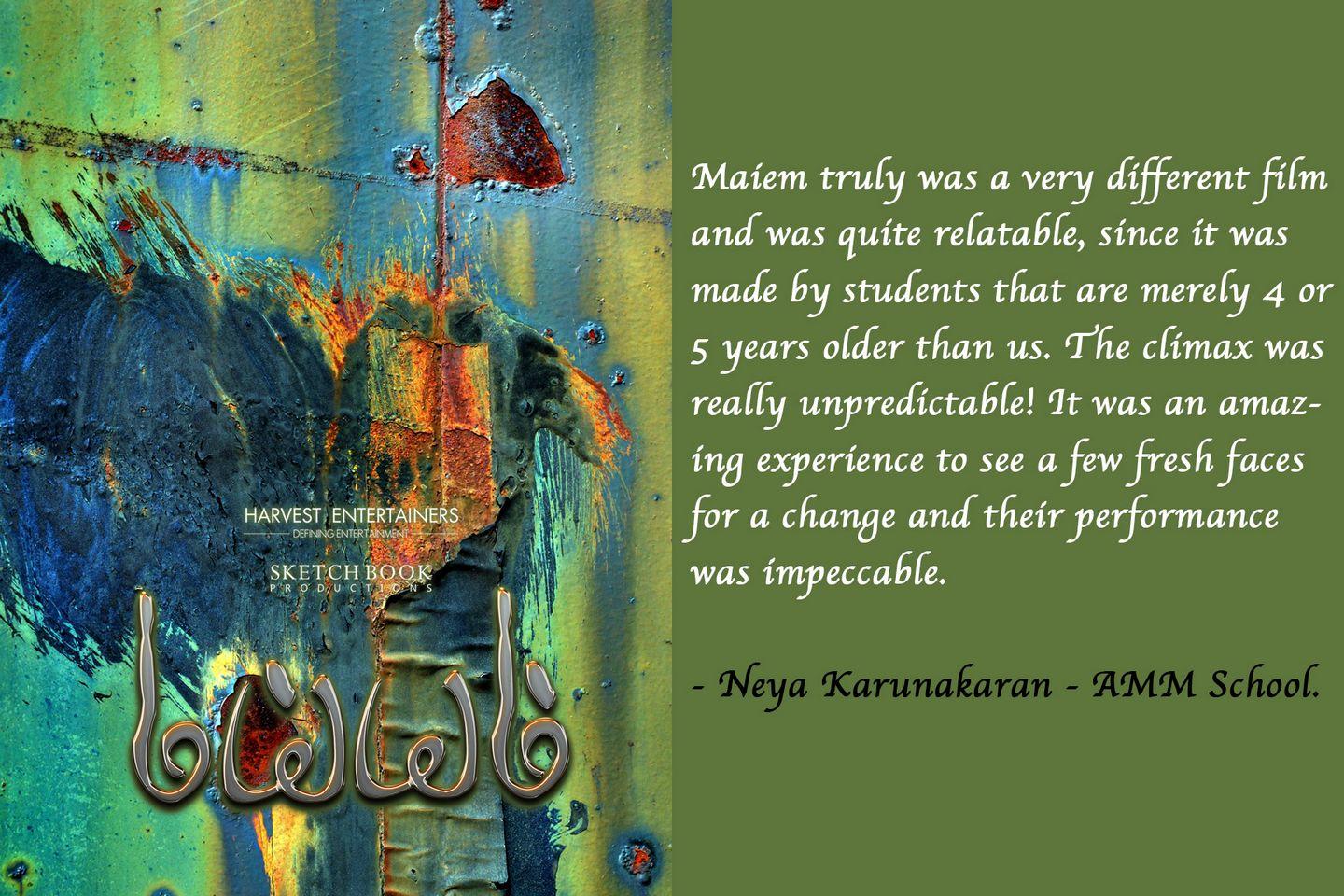 Comments From Students about the Maiem