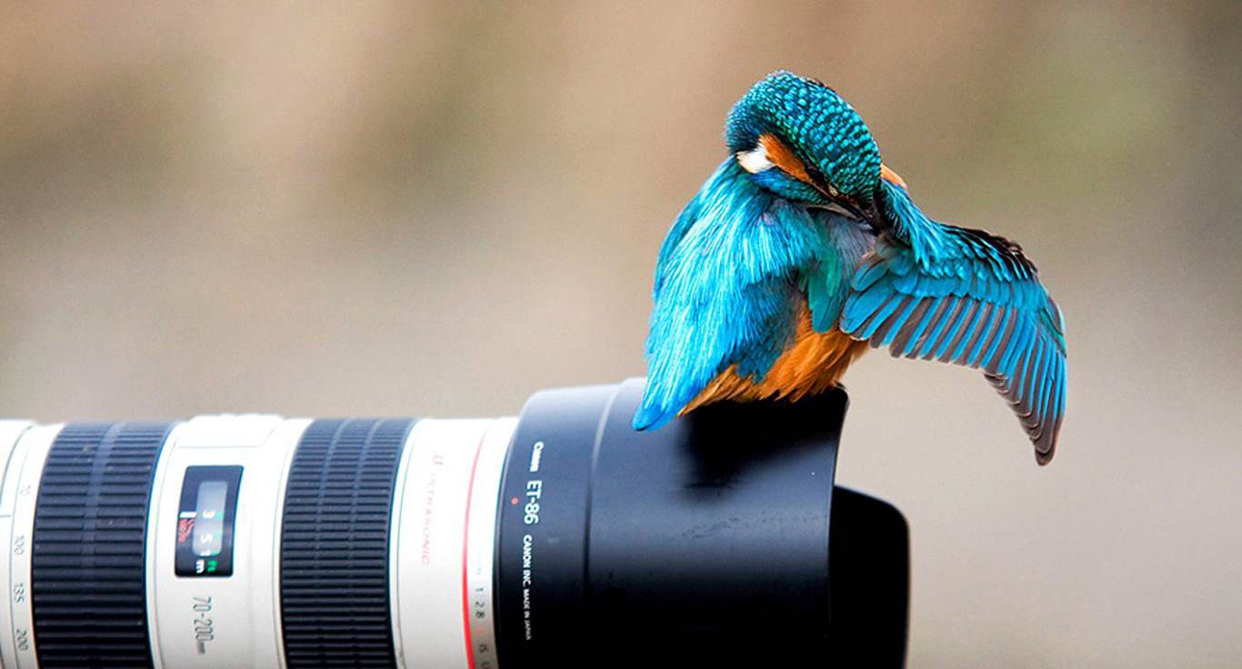 Creative pics taken by Photographers