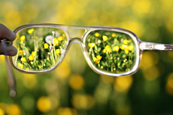 Creative pics taken by Photographers