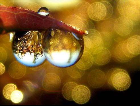 Creative pics taken by Photographers