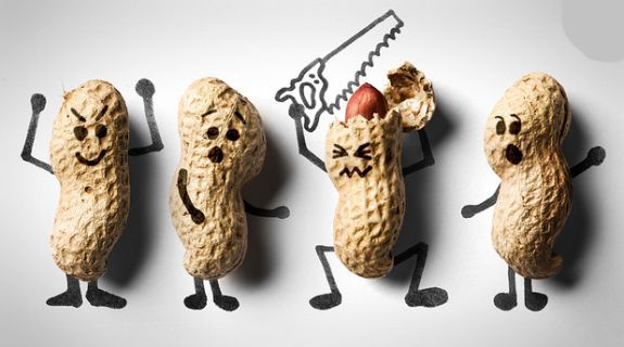 Creative pics taken by Photographers