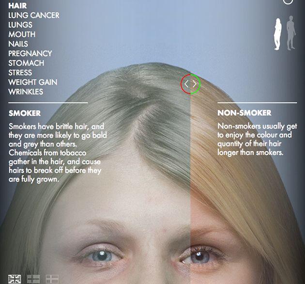 Difference Between Smokers Vs Non Smokers Photos