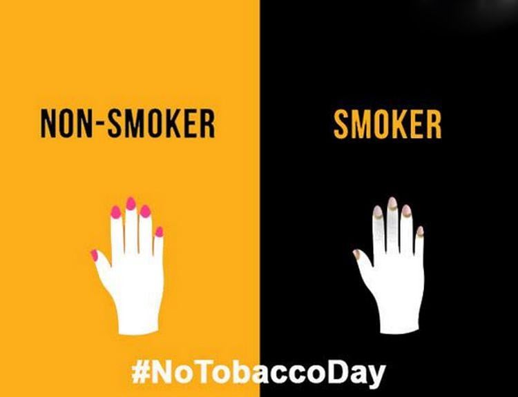 Difference Between Smokers Vs Non Smokers Photos