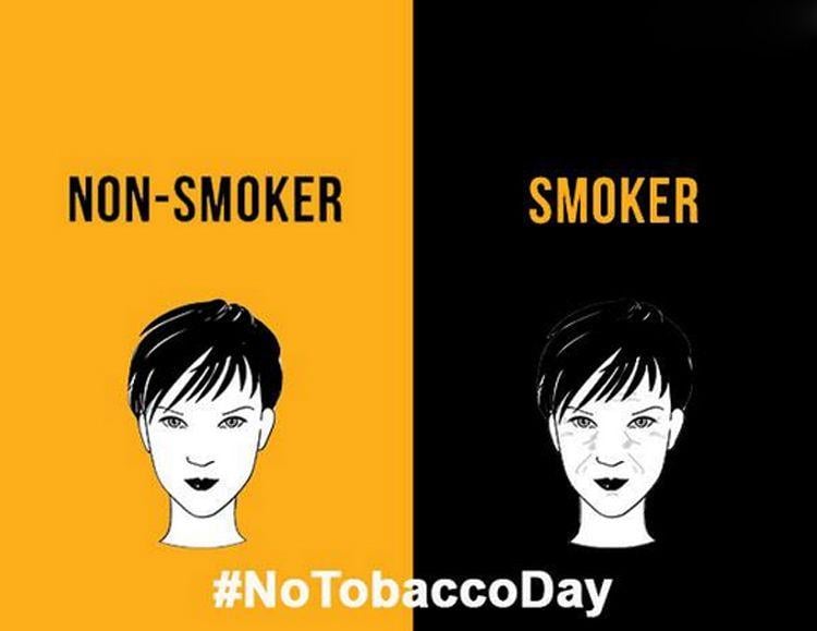 Difference Between Smokers Vs Non Smokers Photos