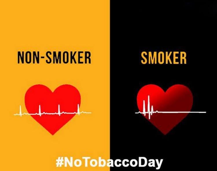 Difference Between Smokers Vs Non Smokers Photos