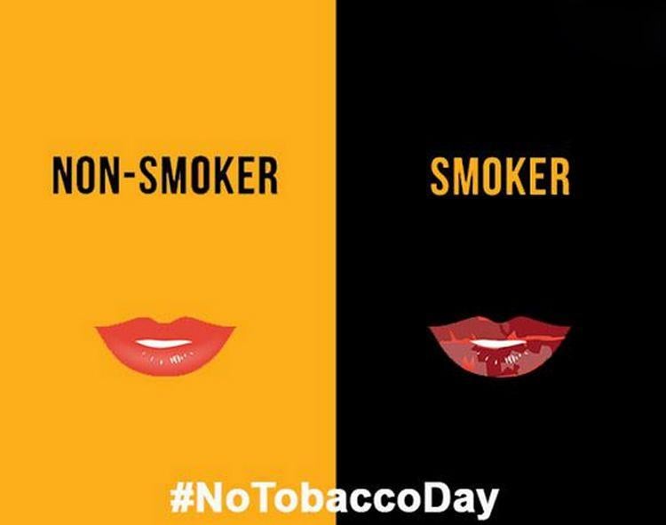 Difference Between Smokers Vs Non Smokers Photos