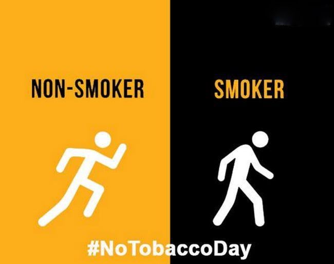 Difference Between Smokers Vs Non Smokers Photos