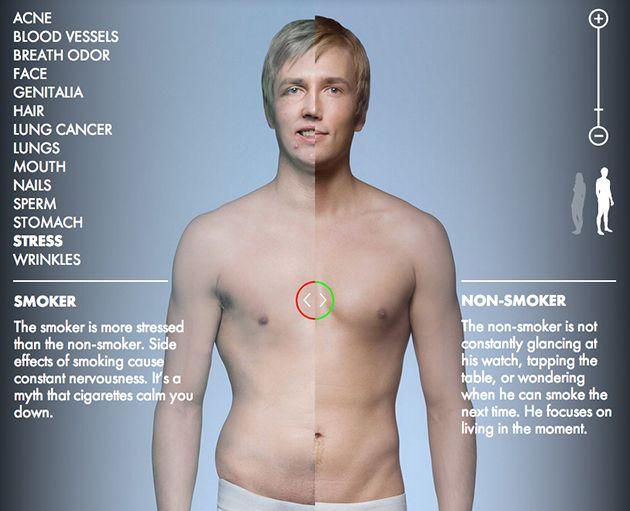 Difference Between Smokers Vs Non Smokers Photos