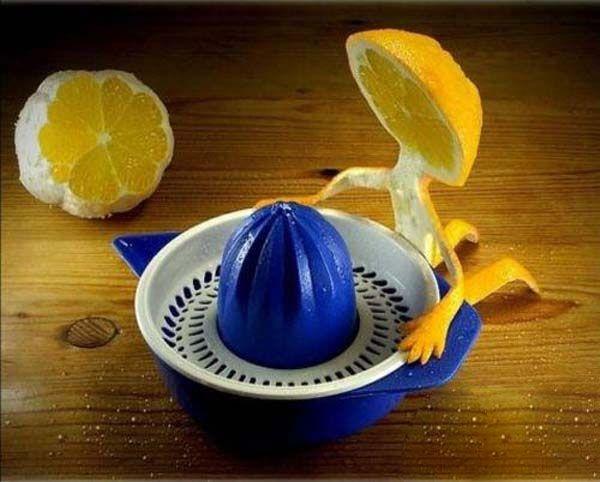 Funny Fruit Art Pictures