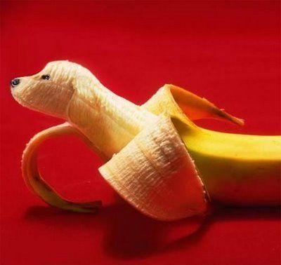 Funny Fruit Art Pictures