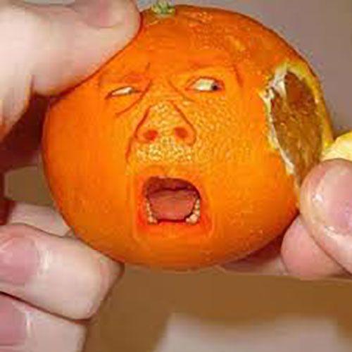 Funny Fruit Art Pictures