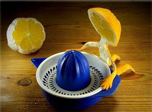 Funny Fruit Art Pictures