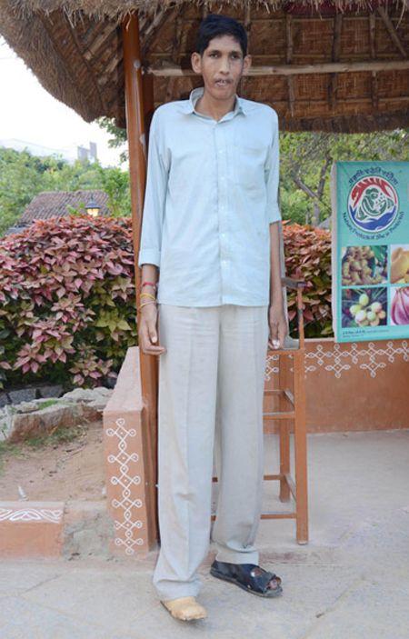 Tallest Man Gattaiah Passed Away